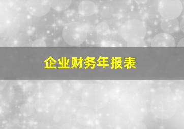 企业财务年报表