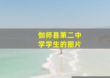 伽师县第二中学学生的图片