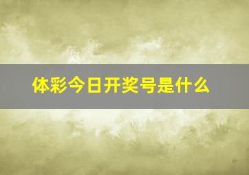 体彩今日开奖号是什么