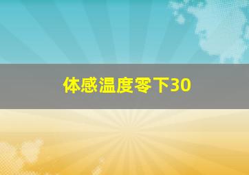 体感温度零下30