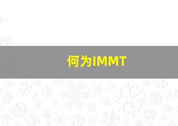 何为IMMT