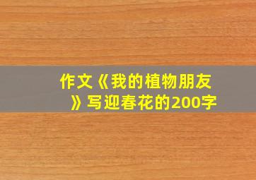 作文《我的植物朋友》写迎春花的200字