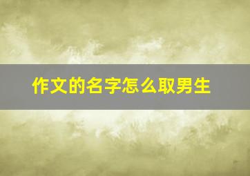 作文的名字怎么取男生