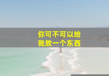 你可不可以给我放一个东西