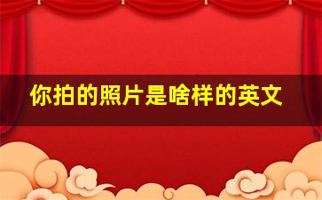 你拍的照片是啥样的英文