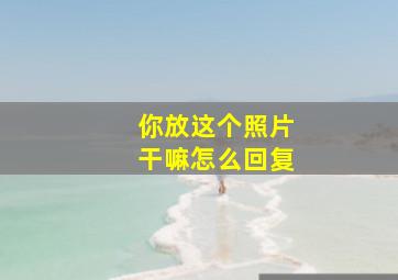 你放这个照片干嘛怎么回复