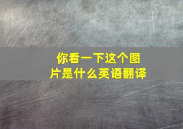 你看一下这个图片是什么英语翻译