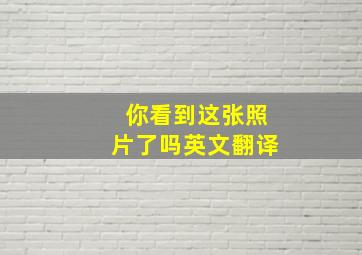 你看到这张照片了吗英文翻译