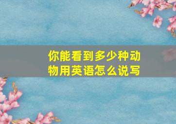 你能看到多少种动物用英语怎么说写