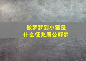 做梦梦到小猪是什么征兆周公解梦