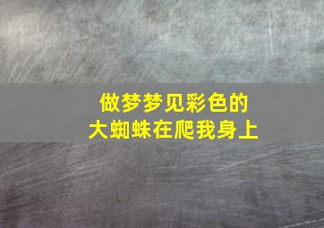 做梦梦见彩色的大蜘蛛在爬我身上