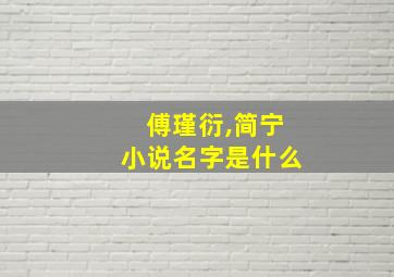 傅瑾衍,简宁小说名字是什么