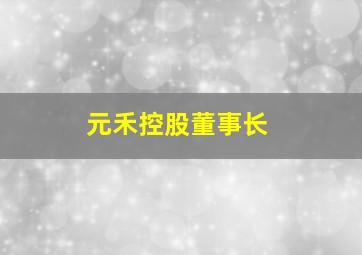 元禾控股董事长