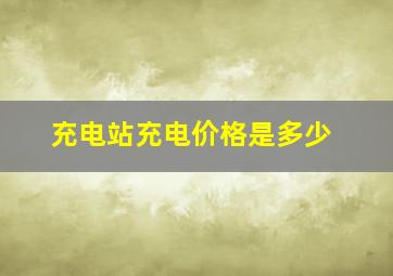 充电站充电价格是多少