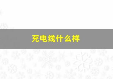 充电线什么样