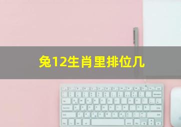 兔12生肖里排位几