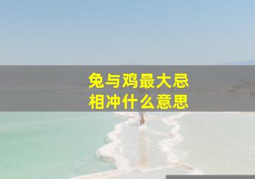 兔与鸡最大忌相冲什么意思