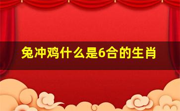 兔冲鸡什么是6合的生肖