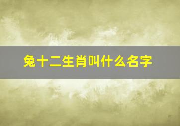 兔十二生肖叫什么名字