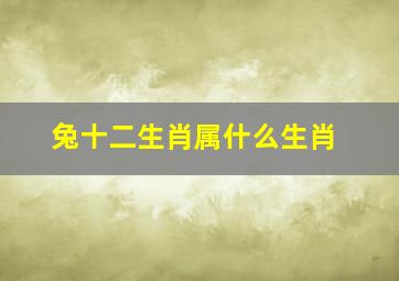 兔十二生肖属什么生肖