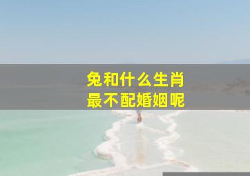 兔和什么生肖最不配婚姻呢