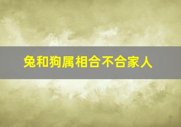 兔和狗属相合不合家人