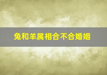 兔和羊属相合不合婚姻