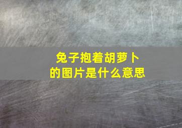 兔子抱着胡萝卜的图片是什么意思