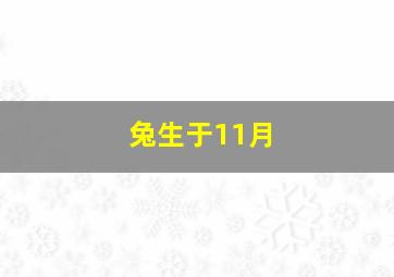 兔生于11月