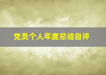 党员个人年度总结自评