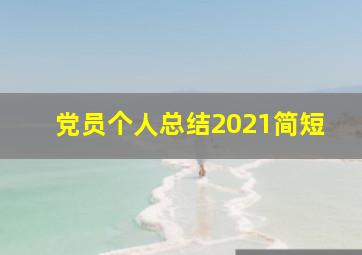 党员个人总结2021简短