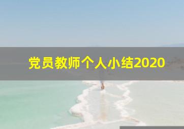 党员教师个人小结2020