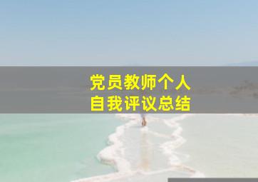 党员教师个人自我评议总结