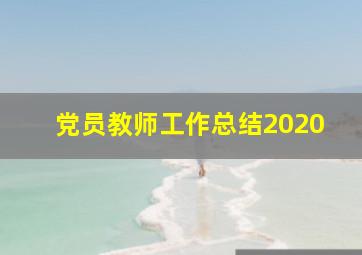 党员教师工作总结2020