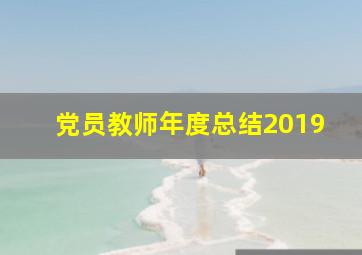 党员教师年度总结2019