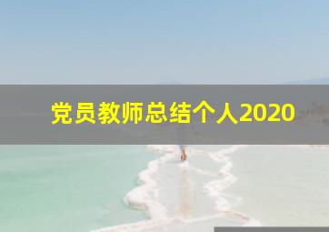 党员教师总结个人2020