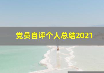 党员自评个人总结2021