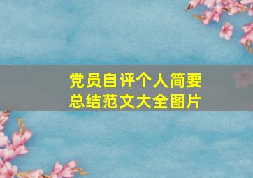 党员自评个人简要总结范文大全图片