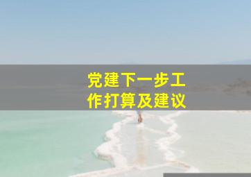 党建下一步工作打算及建议