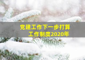 党建工作下一步打算工作制度2020年