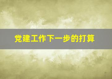 党建工作下一步的打算