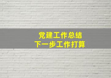 党建工作总结下一步工作打算