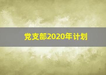 党支部2020年计划