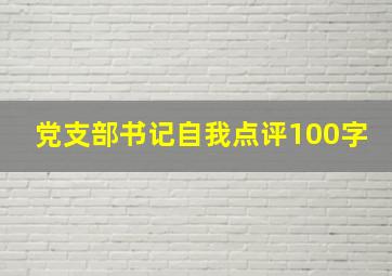 党支部书记自我点评100字