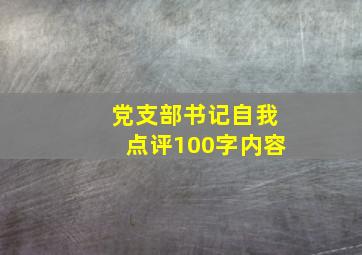 党支部书记自我点评100字内容