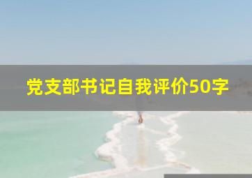 党支部书记自我评价50字