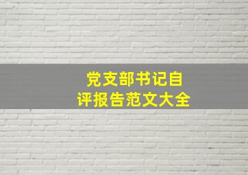 党支部书记自评报告范文大全