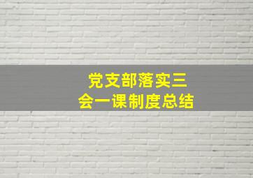 党支部落实三会一课制度总结