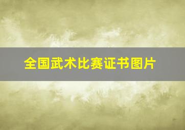 全国武术比赛证书图片