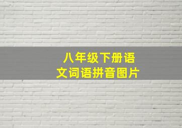 八年级下册语文词语拼音图片